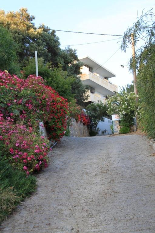 Oasis Apartment *